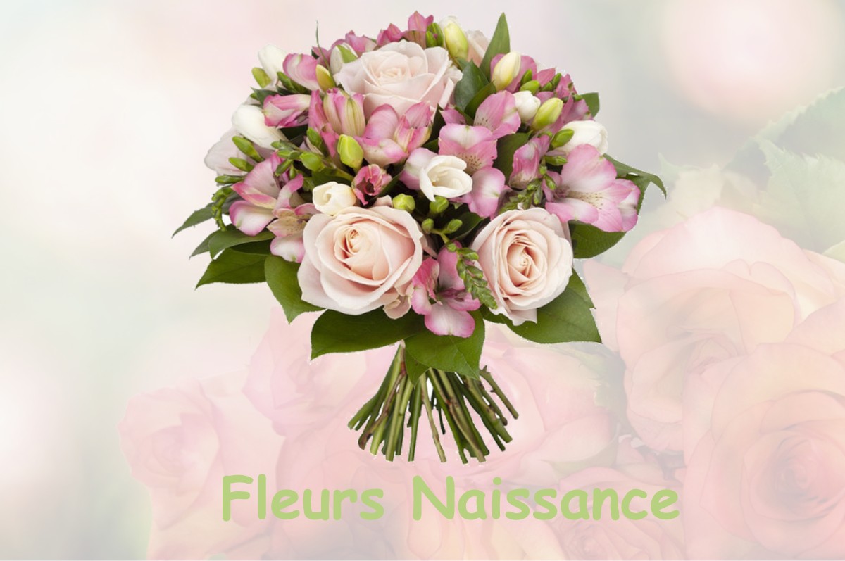 fleurs naissance TOURNOISIS